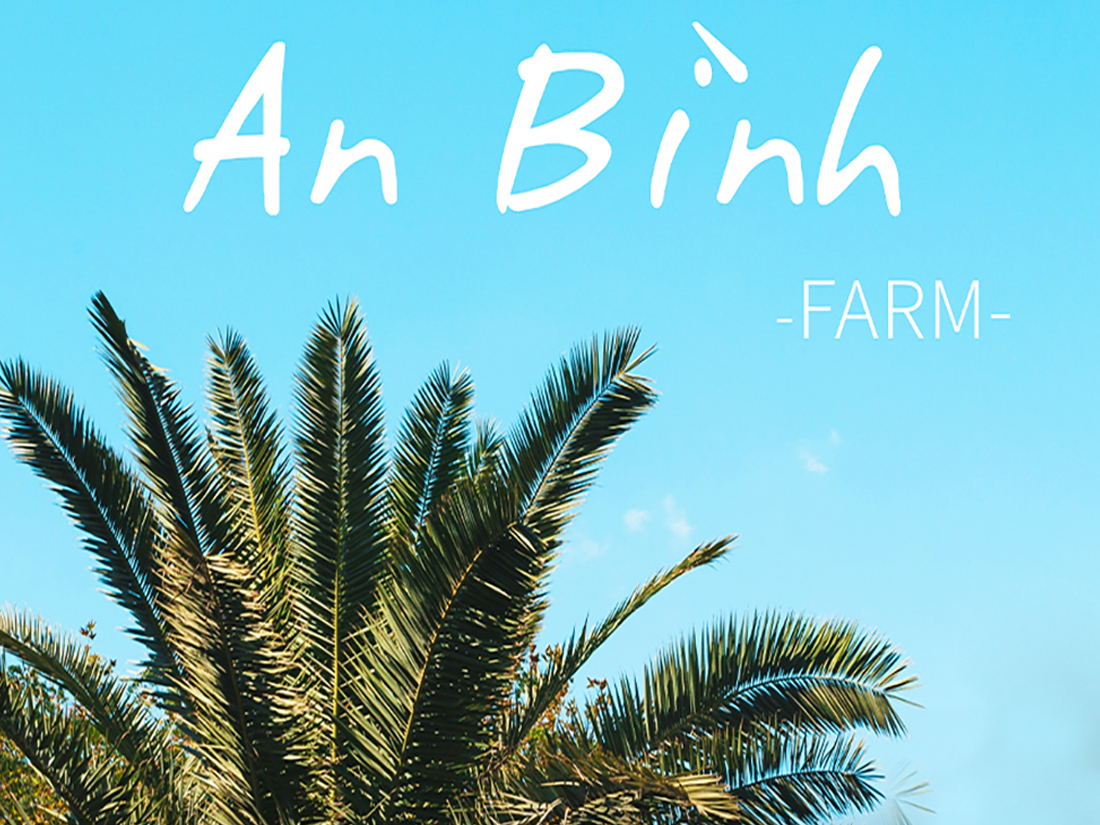 An Binh Farm
