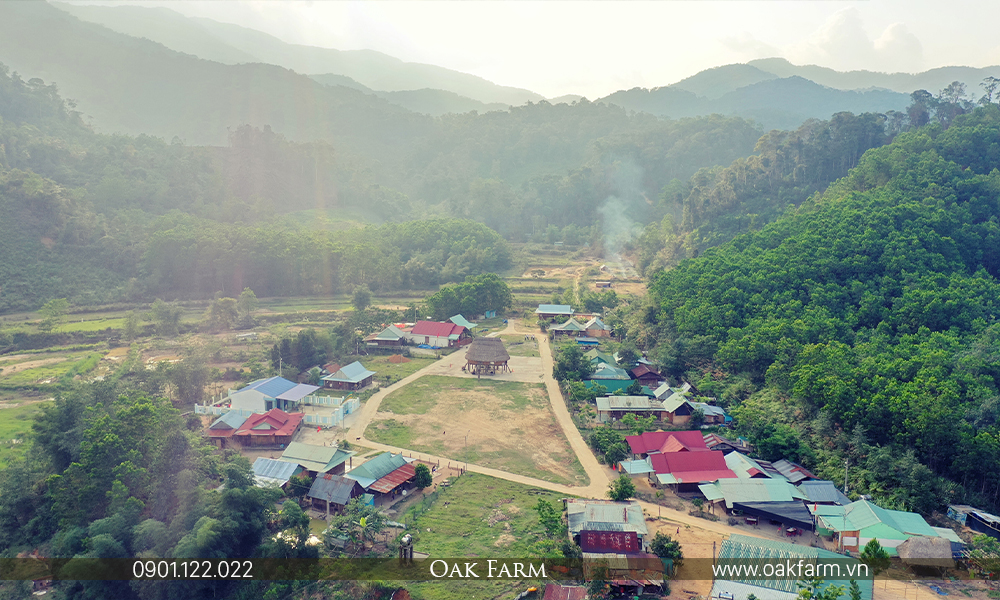 Lang Van Hoa Cong Dong Thon Trlee