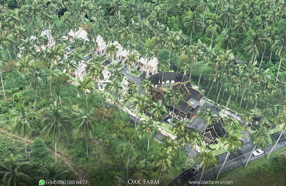 Pool Landscape Reveal