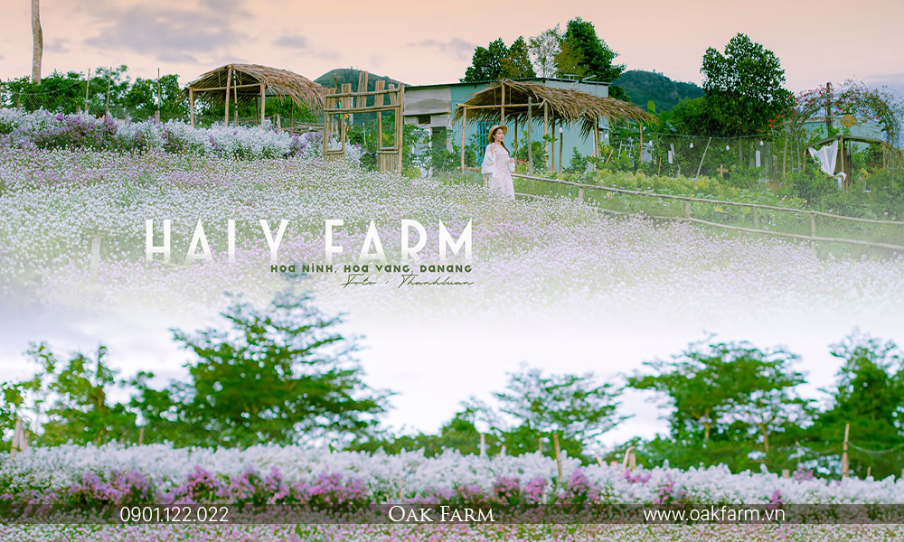 Haly Farm