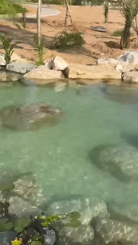 Thi công Hồ Koi nghệ thuật