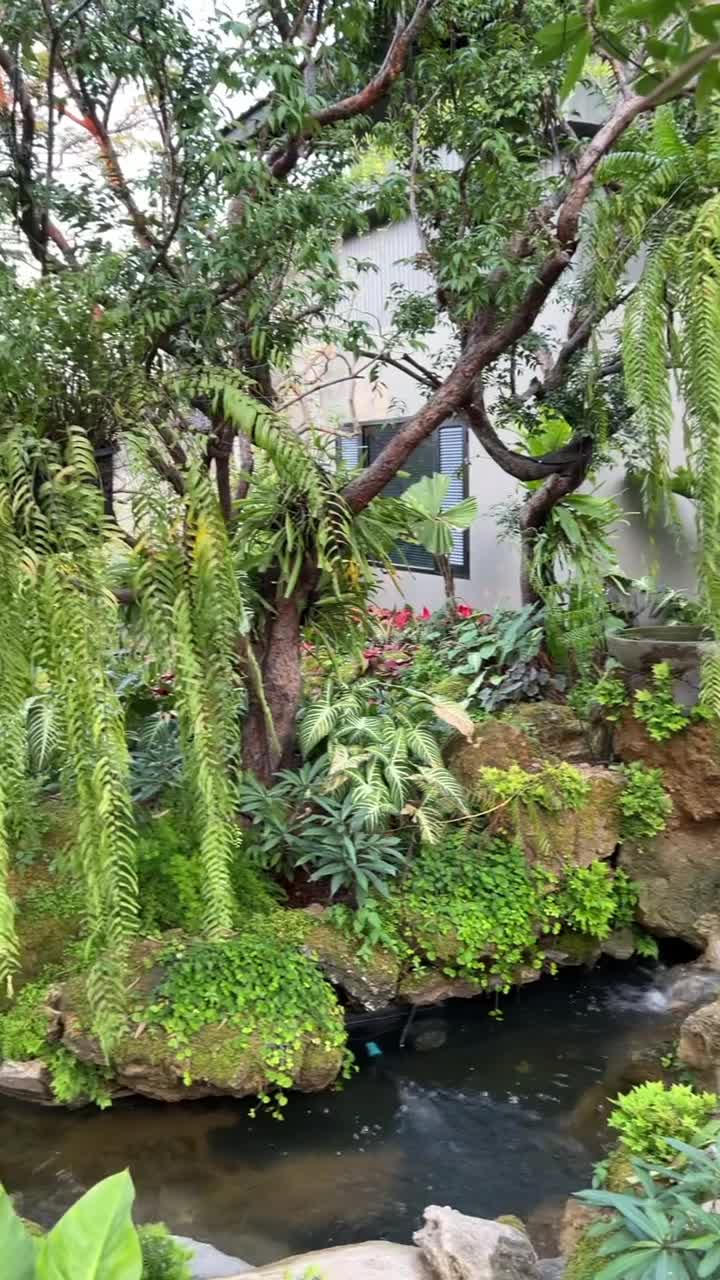 Cận cảnh Hồ Koi phong cách Nhật