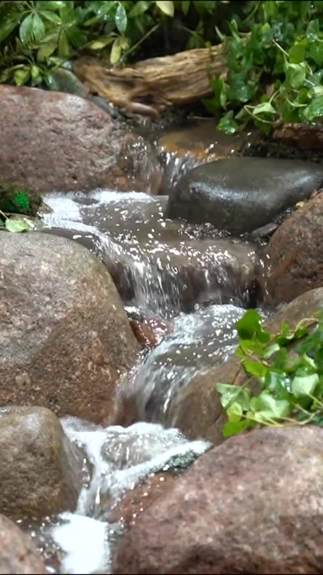 Chi tiết Thi công Sân vườn