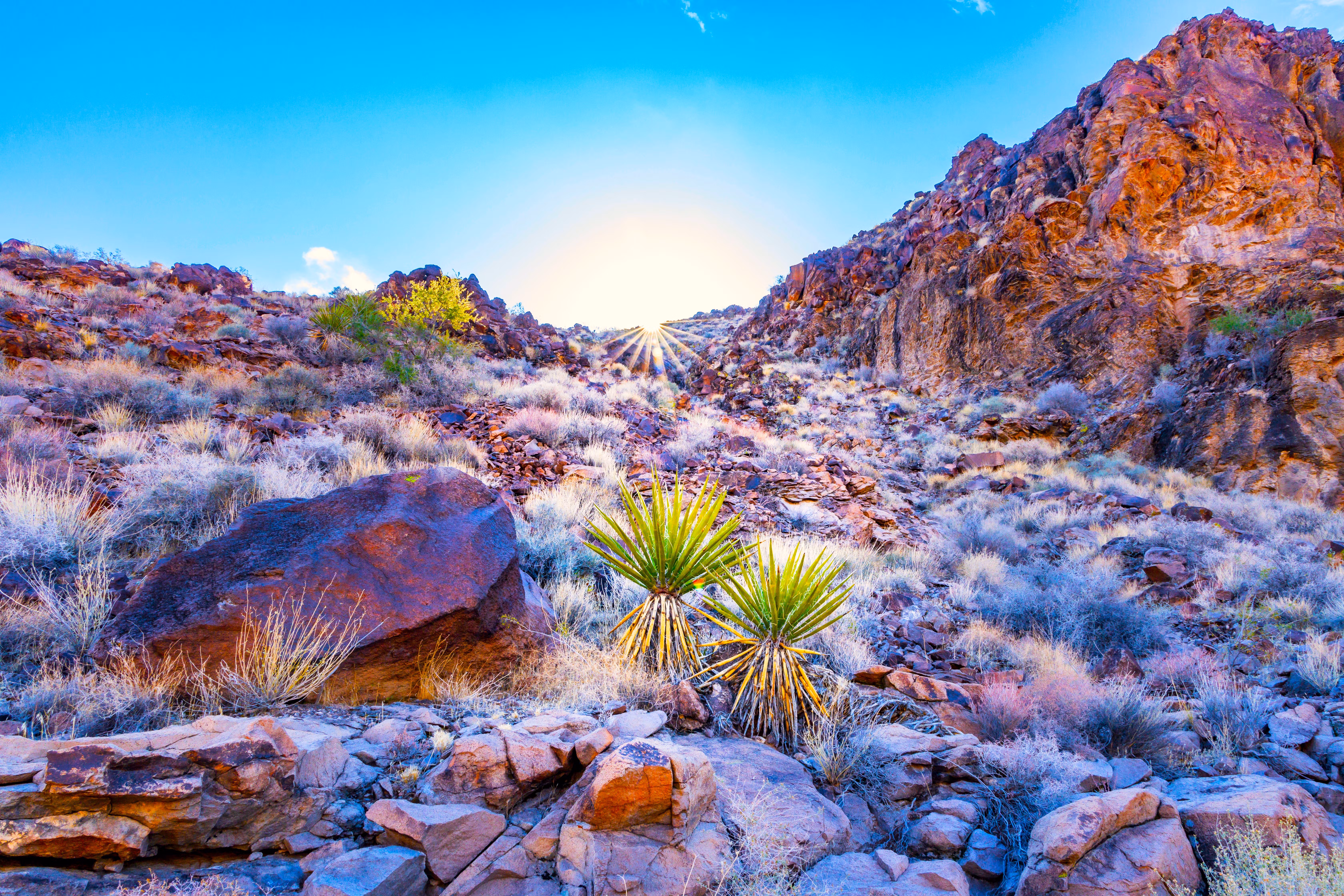 Sloan Canyon National Conservation Area