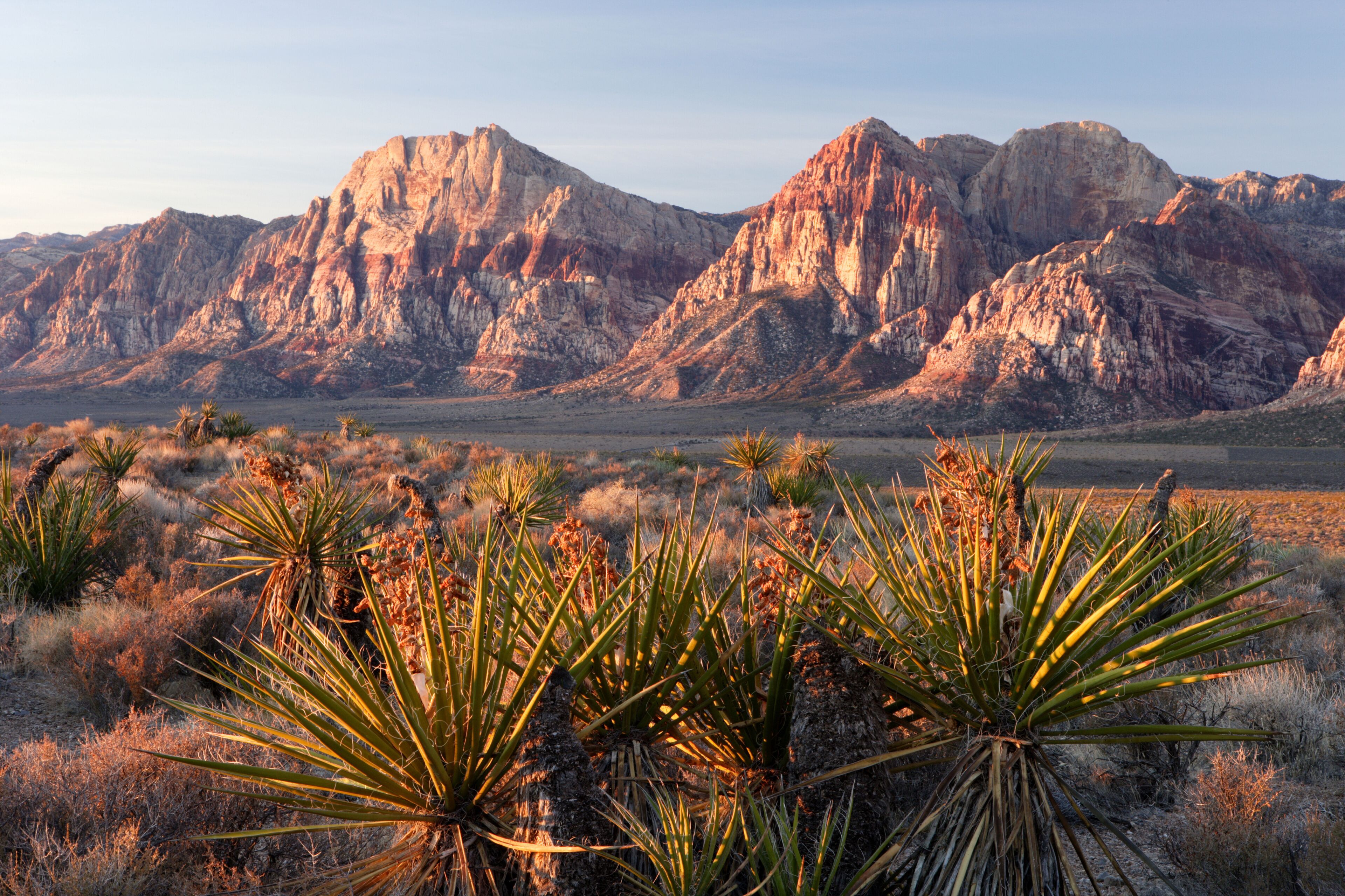 Red Rock Canyon National Conservation Area