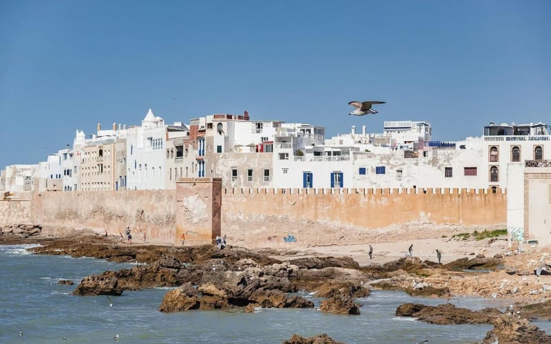 Essaouira Half Day Private Excursion — Argan Route, Diabat & Atlantic Coast