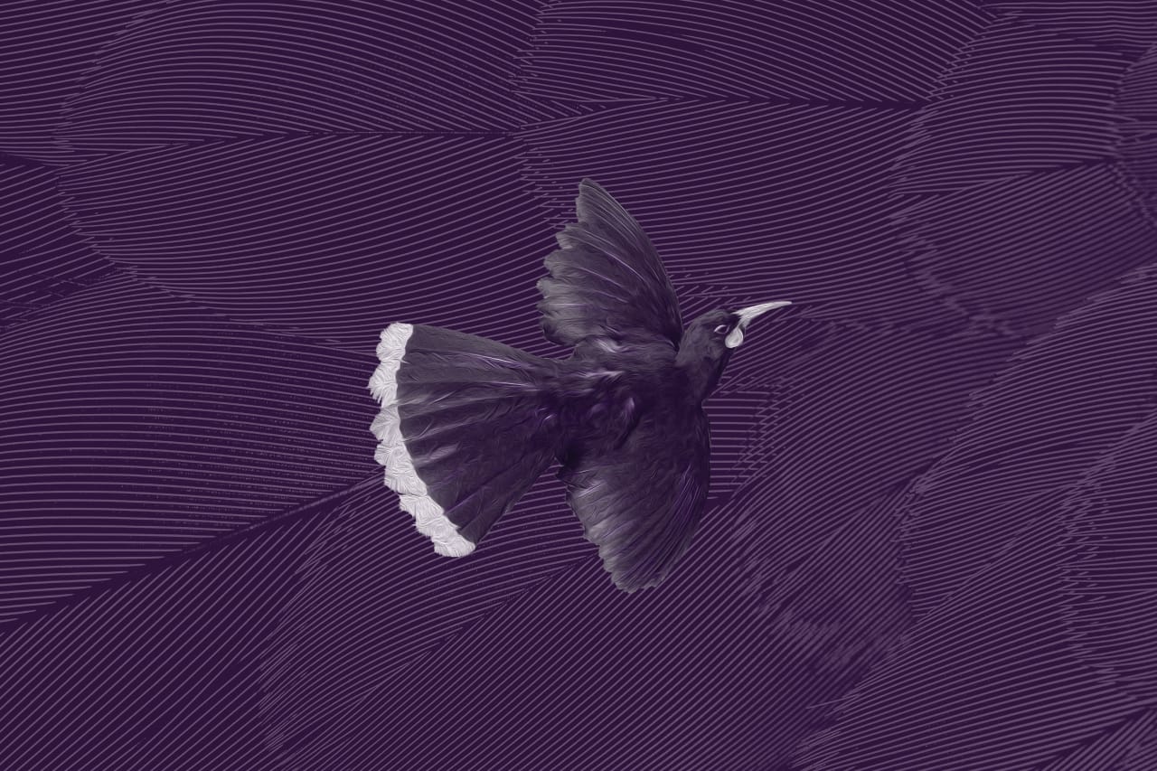 Rauhuia | Leadership Space