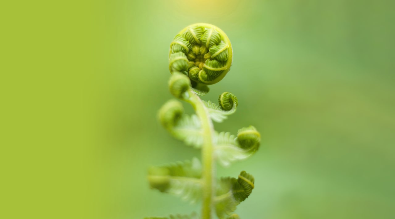 Register for upcoming Symposia