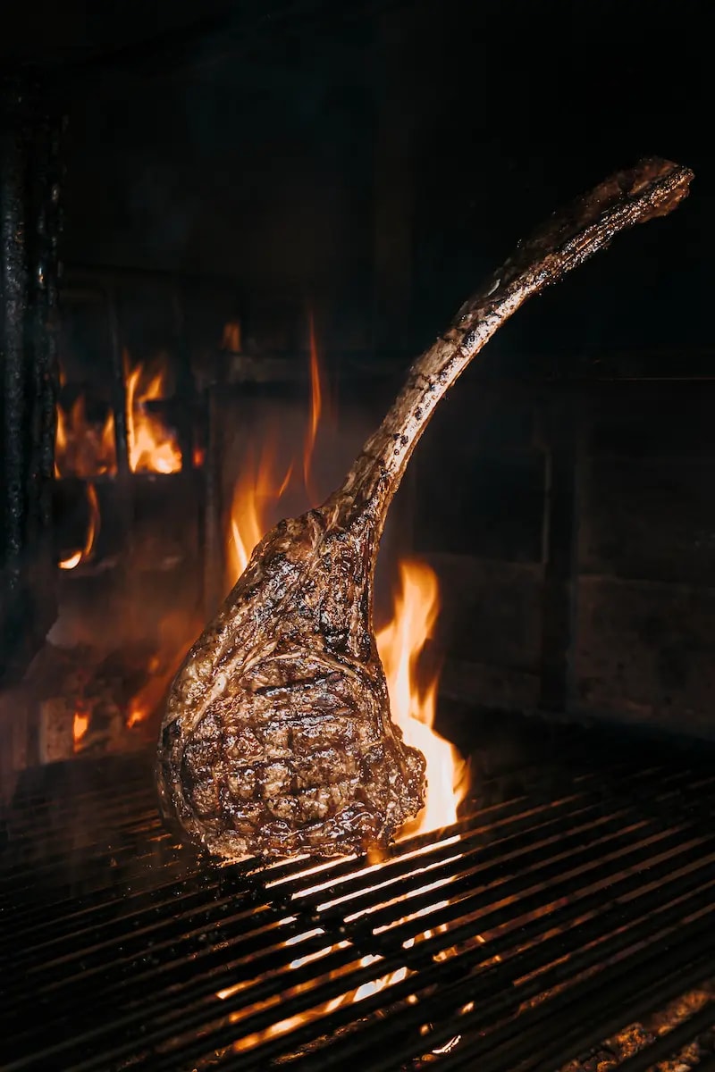 Fuego y gastronomía