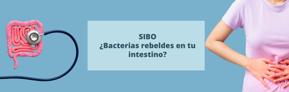SIBO: ¿Bacterias rebeldes en tu intestino?