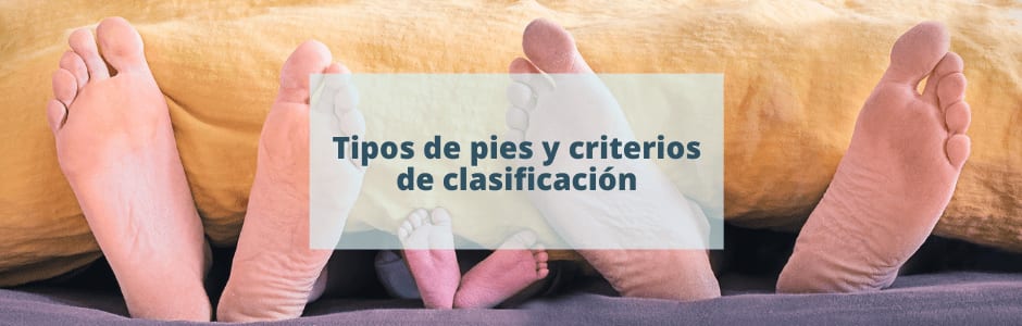 Tipos de pies y criterios de clasificación