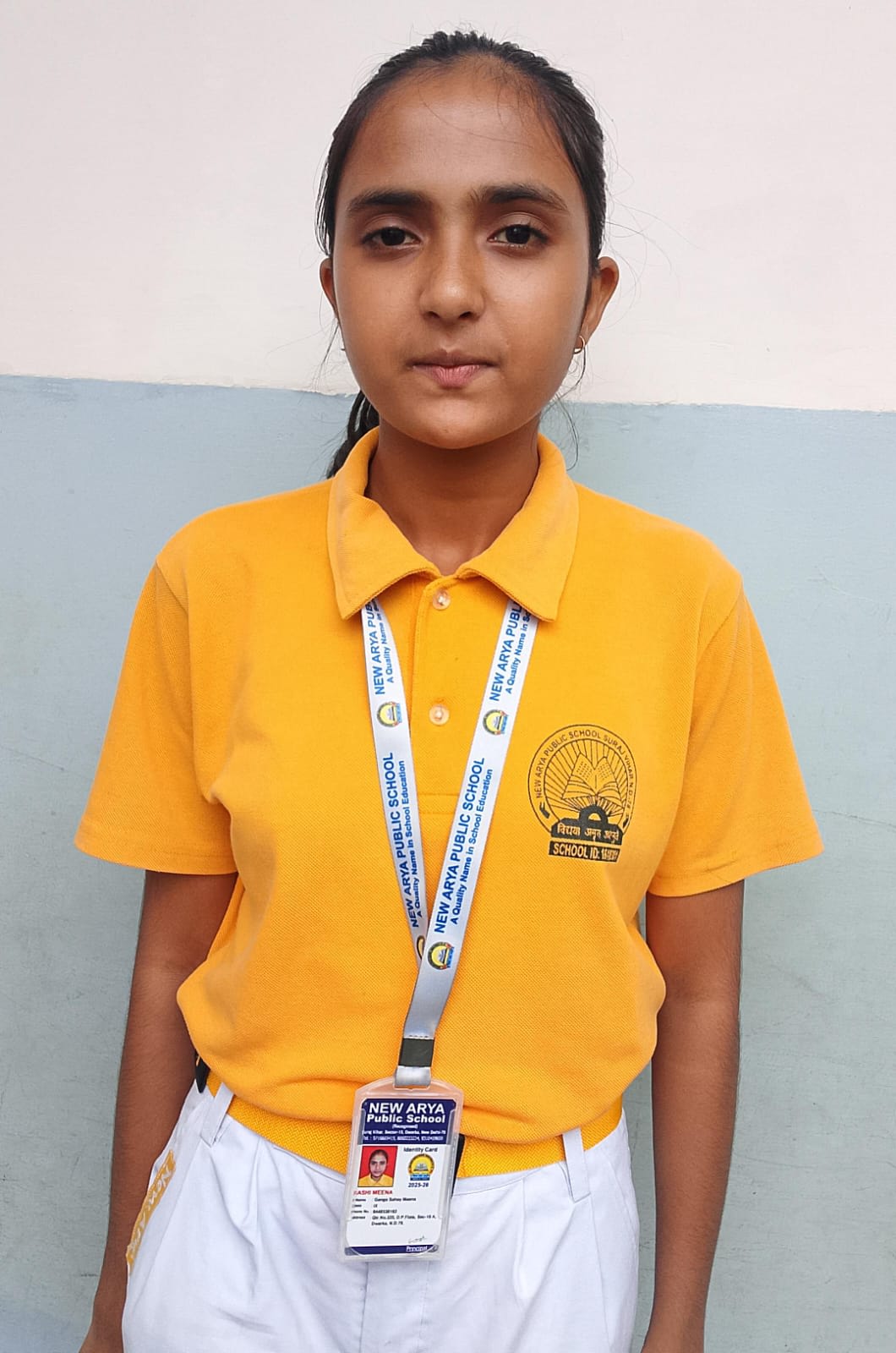 new arya public school Mentor