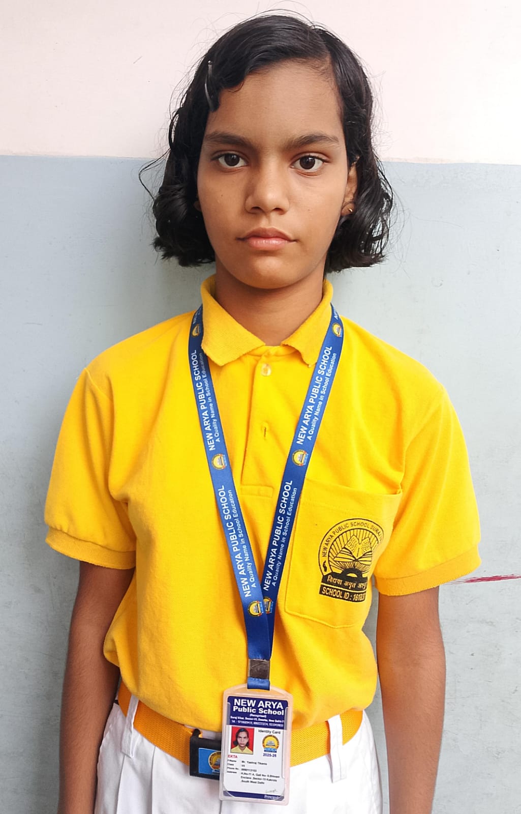 new arya public school Mentor