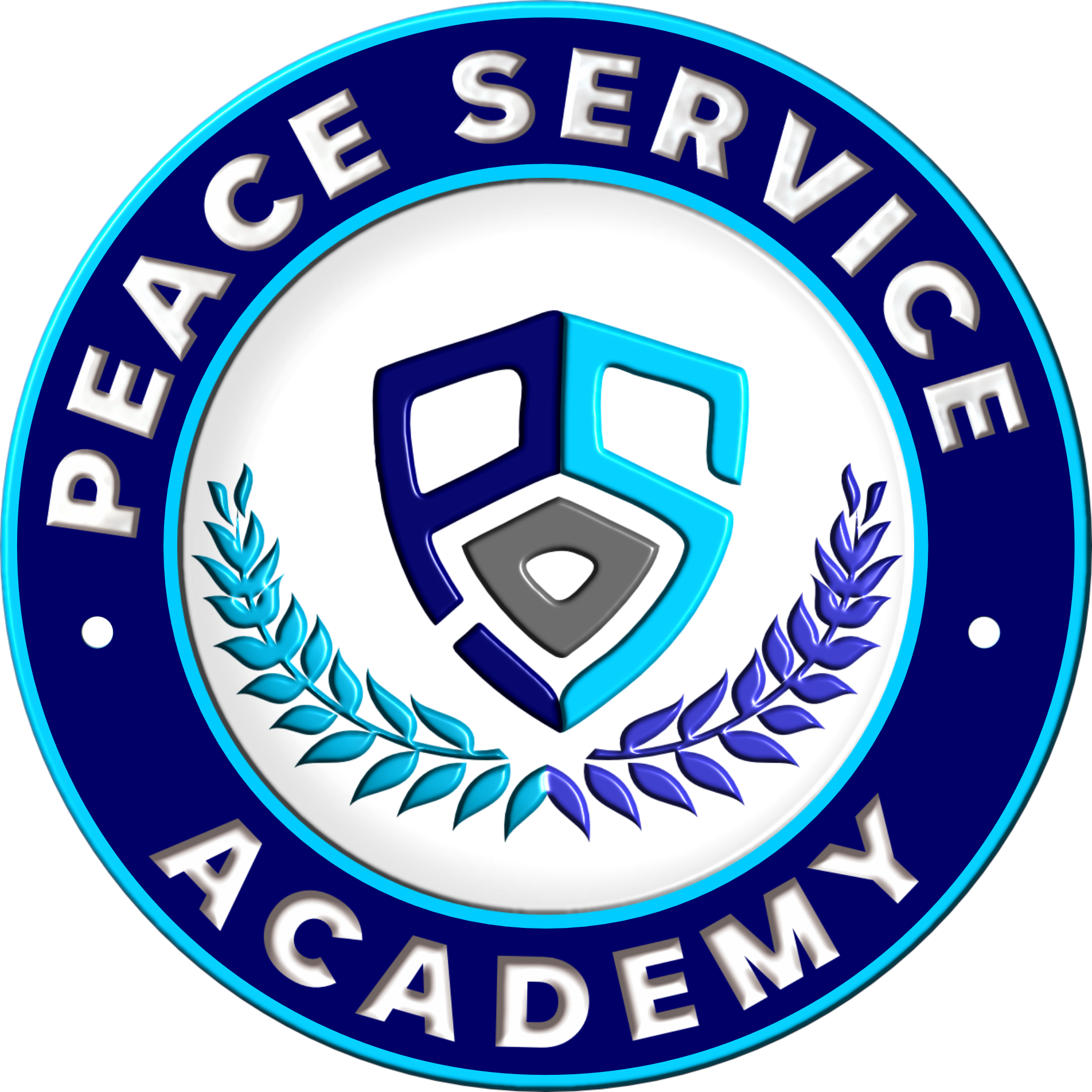 Advanced Peace Program Peace Service Academy | PSA
