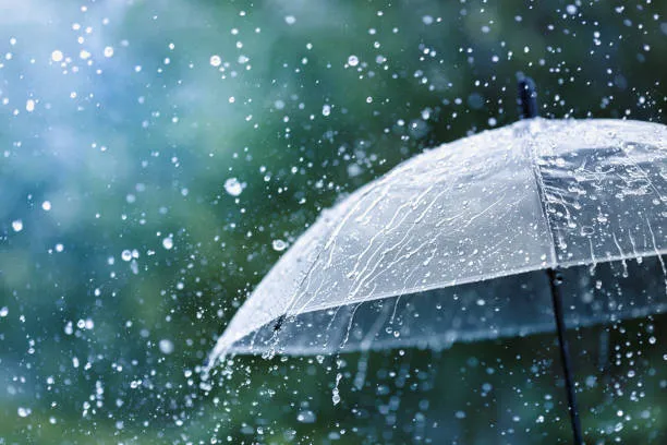Delhi Braces for Early Monsoon: Cooler Days, Flood Risks Loom. 