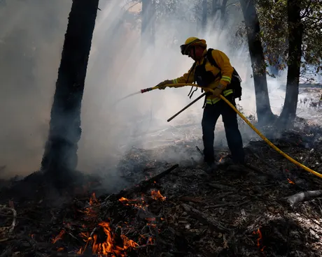Scorching Inferno: Arizona Wildfires Force Mass Evacuations Near Grand Canyon