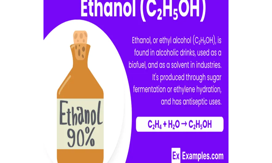 India's E20 Ethanol Blending Policy: Balancing Energy Security, Environmental Goals, and Consumer Concerns