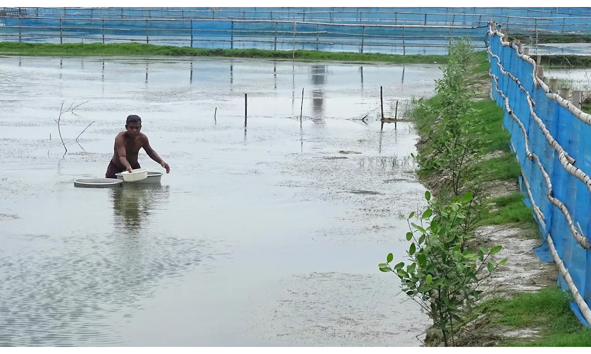 Sundarbans' SAIME Model