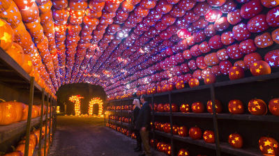 The Great Jack O'Lantern Blaze 2026