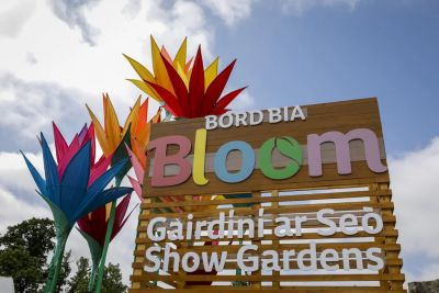 Bord Bia Bloom 2027