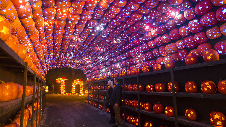 The Great Jack O'Lantern Blaze 2026