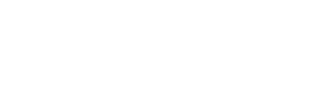 No Logo Festival