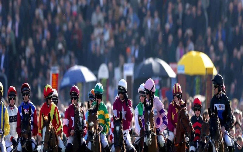 Cheltenham Festival 2027