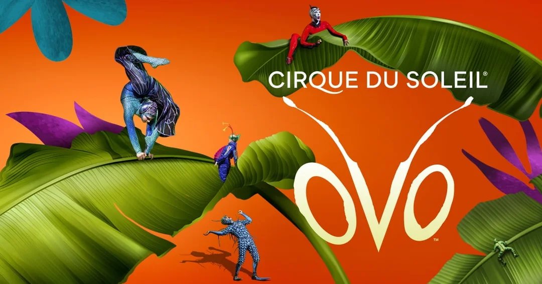 Cirque du Soleil – OVO Paris 2026
