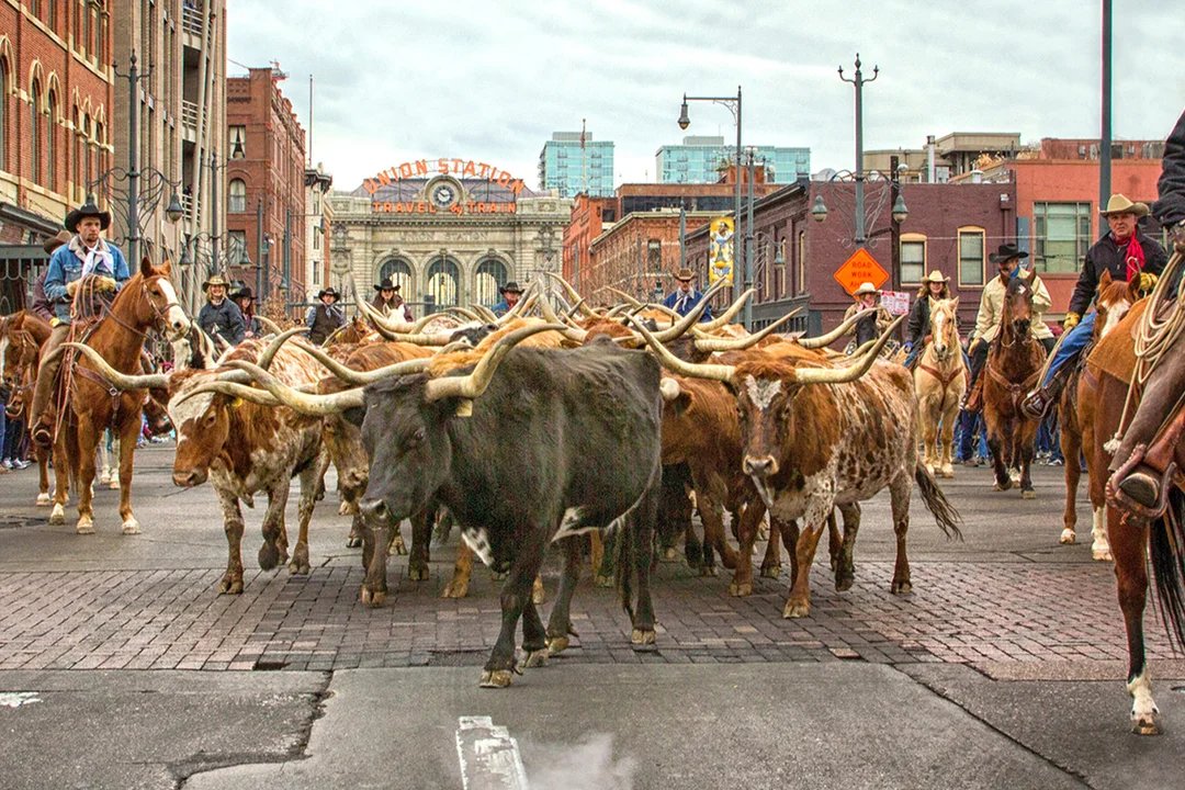 National Western Stock Show 2027