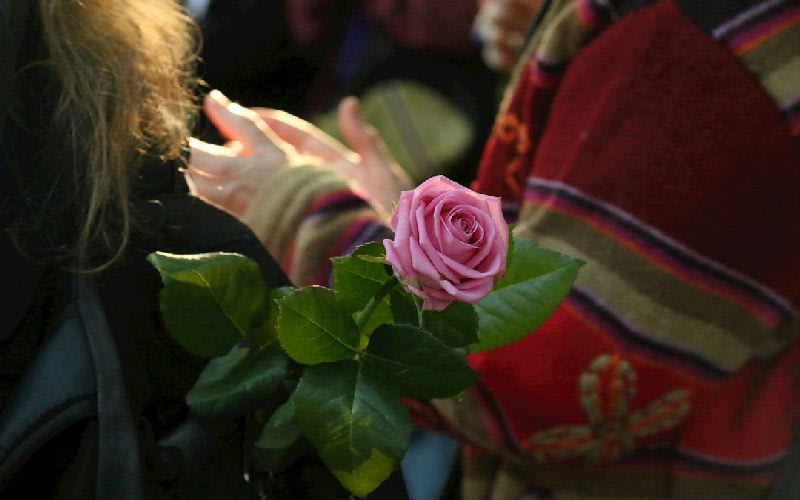 Rose of Tralee International Festival
