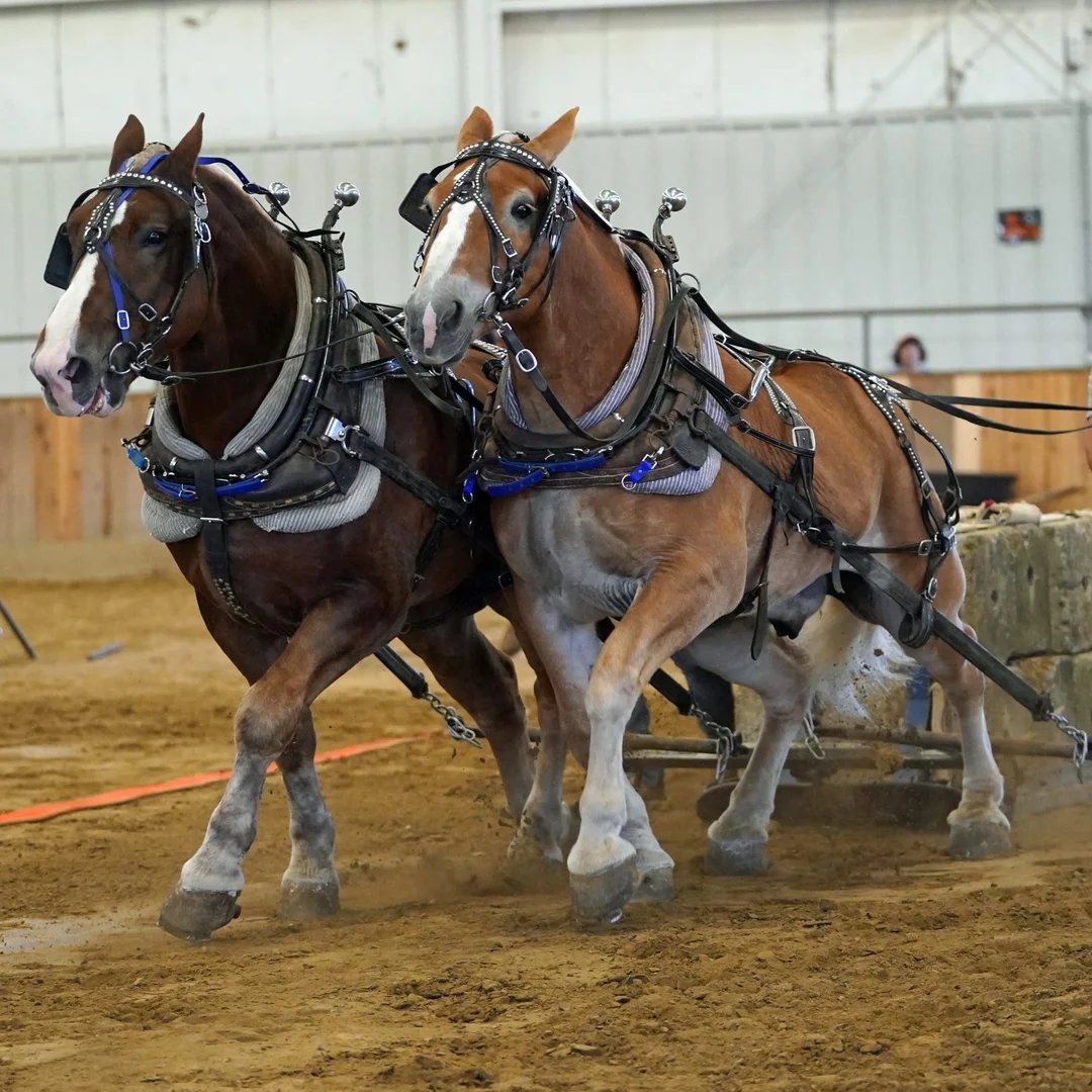 Topsfield Fair 2026