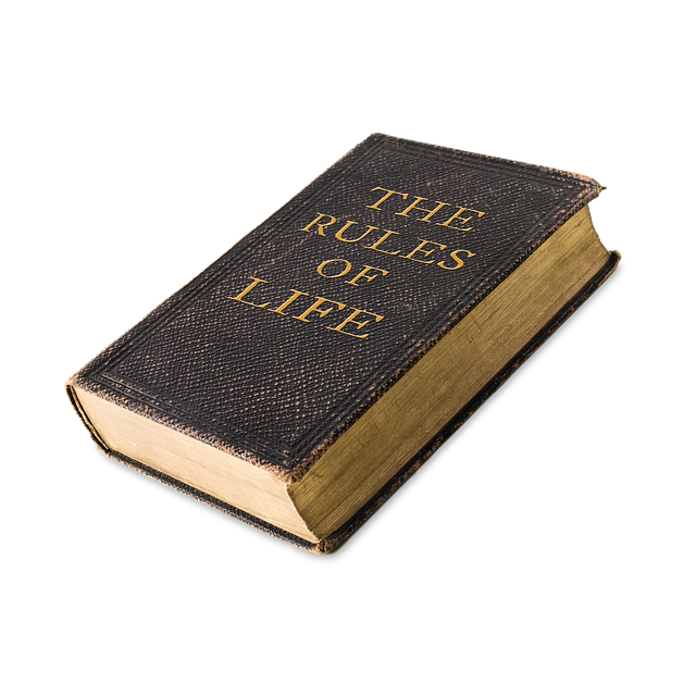Picture of an old looking book titled the rules of life