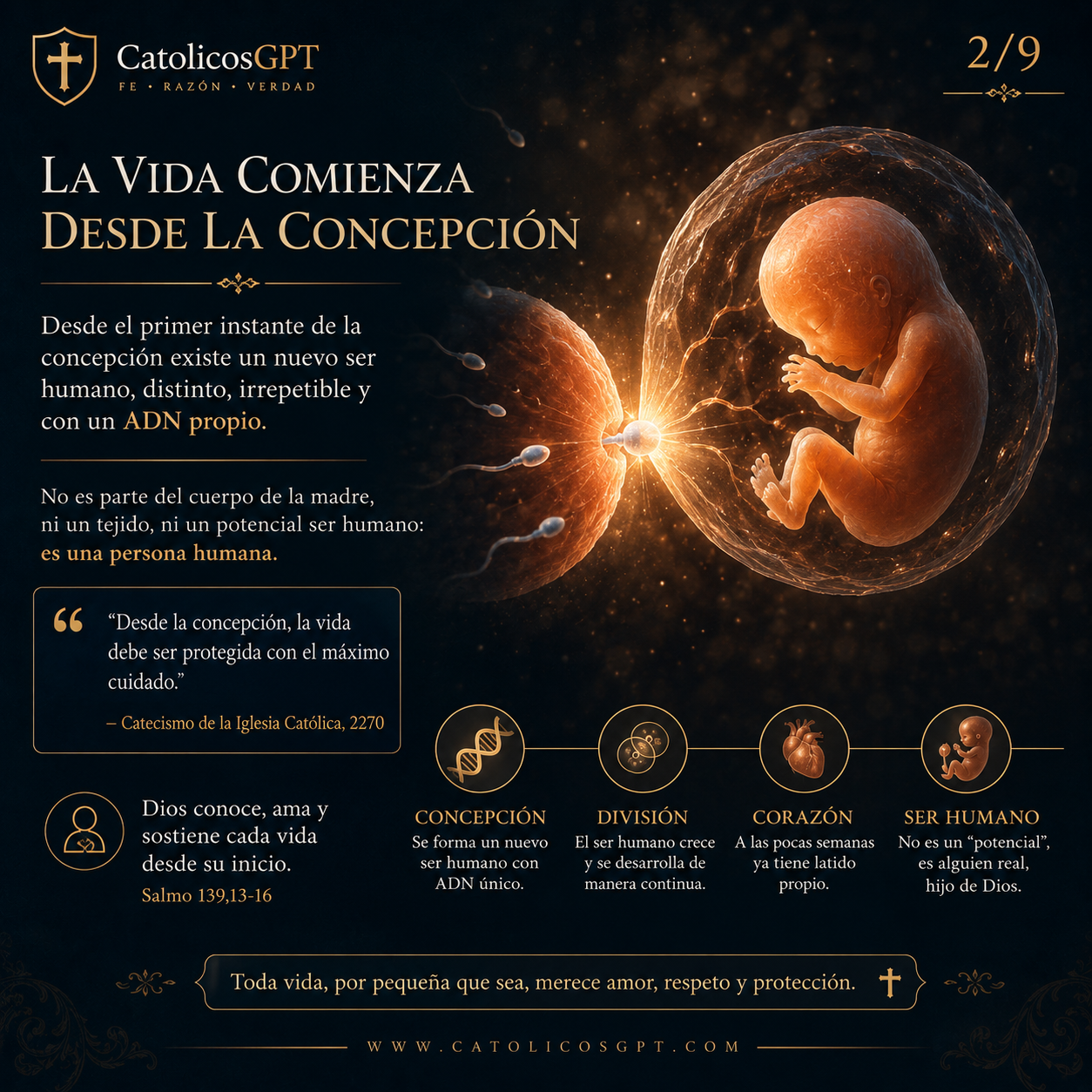 Refelxion sobre el Aborto Infografia | CatólicosGPT IA Católica - Diapositiva 3