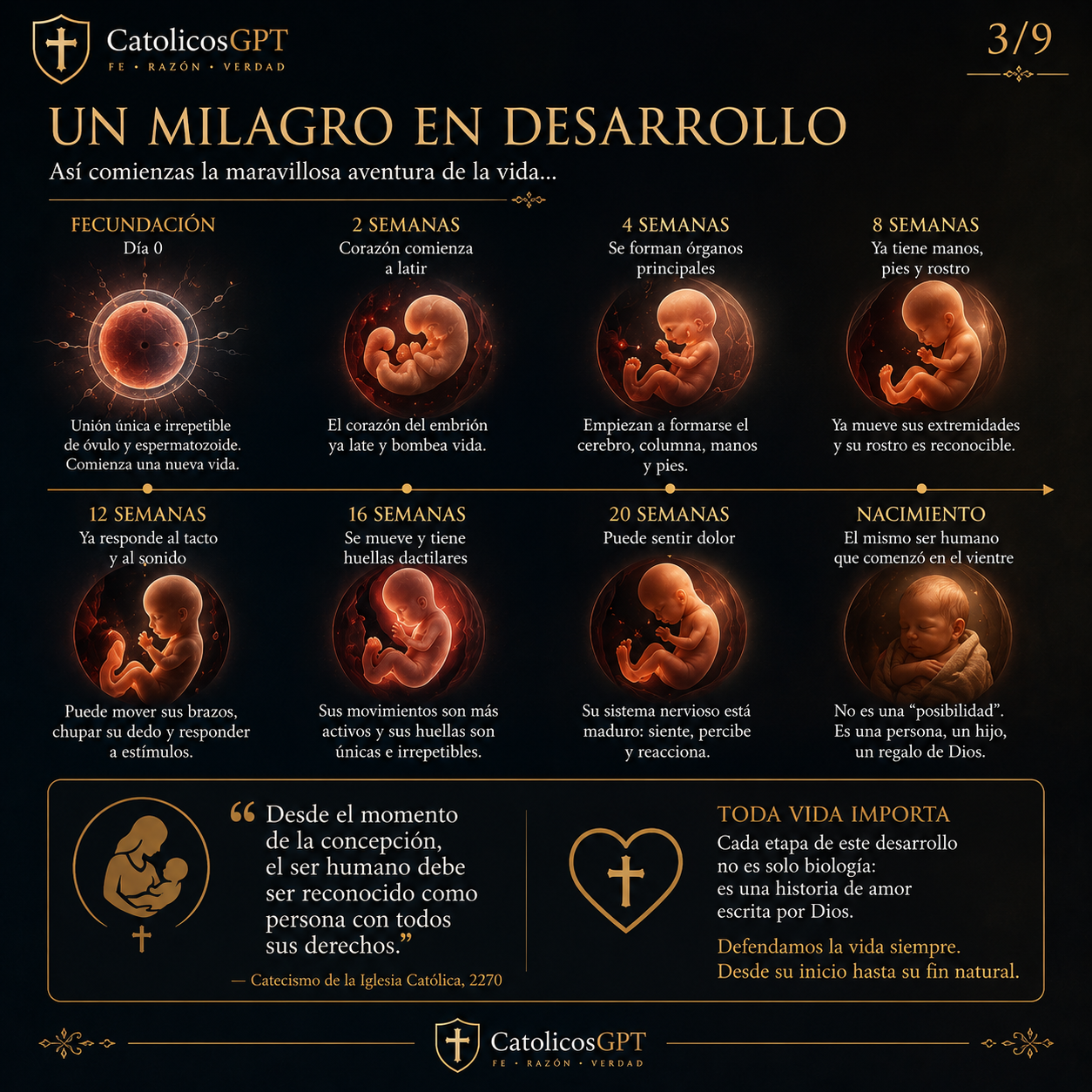 Refelxion sobre el Aborto Infografia | CatólicosGPT IA Católica - Diapositiva 4