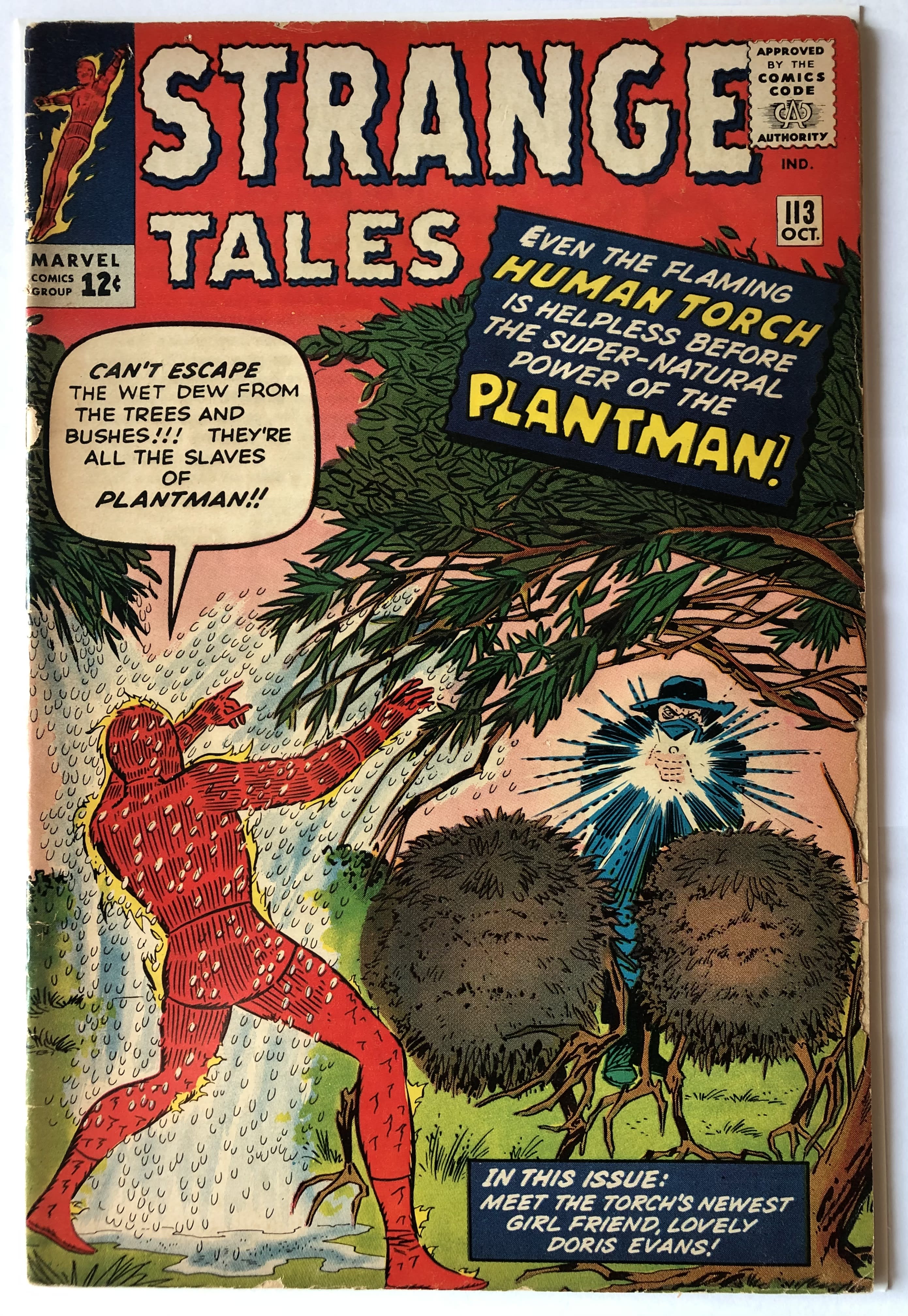 Strange Tales #113