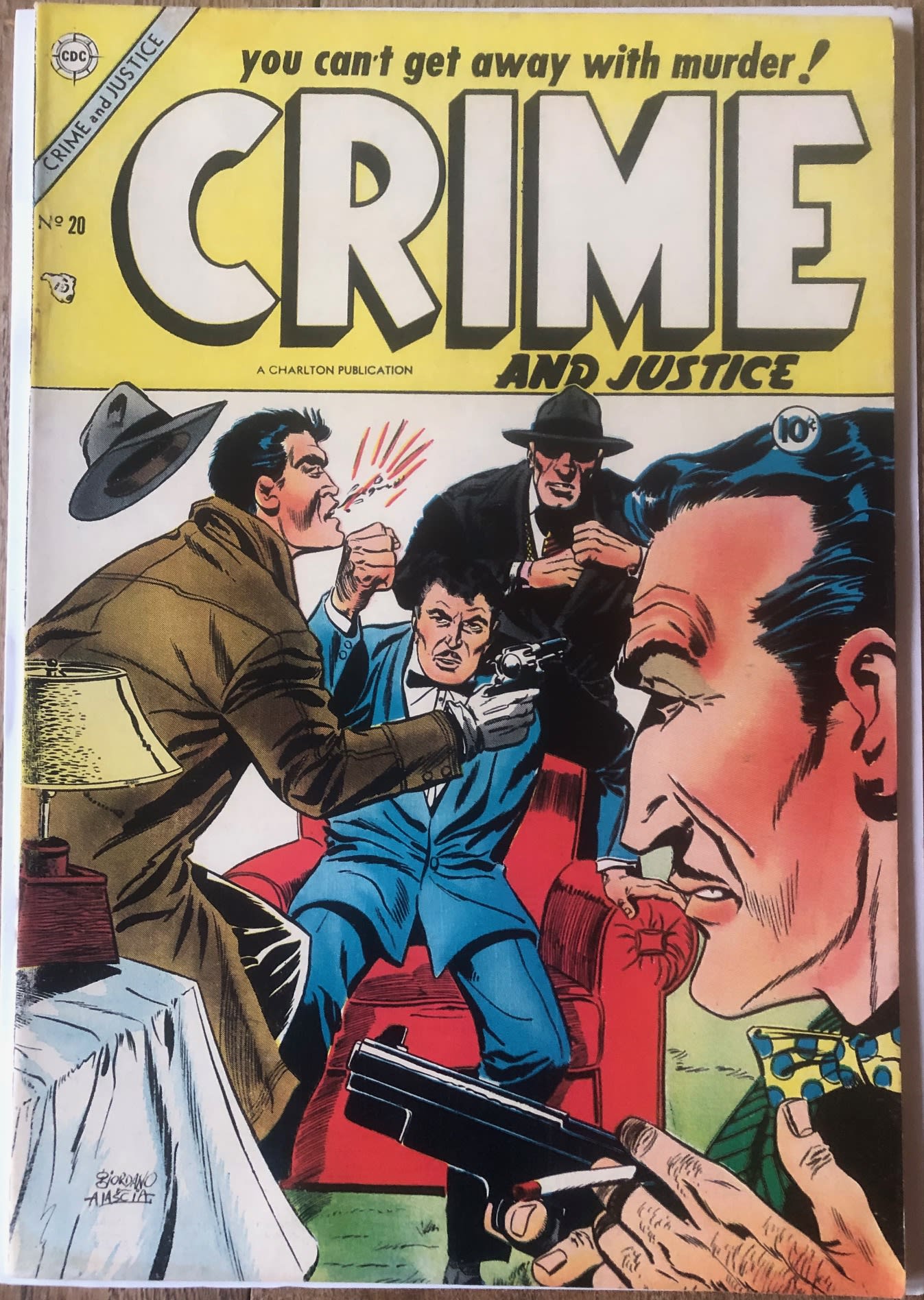 Crime and Justice #20