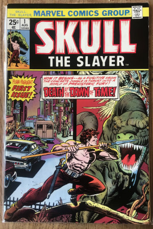 Cover image for Skull the Slayer #1