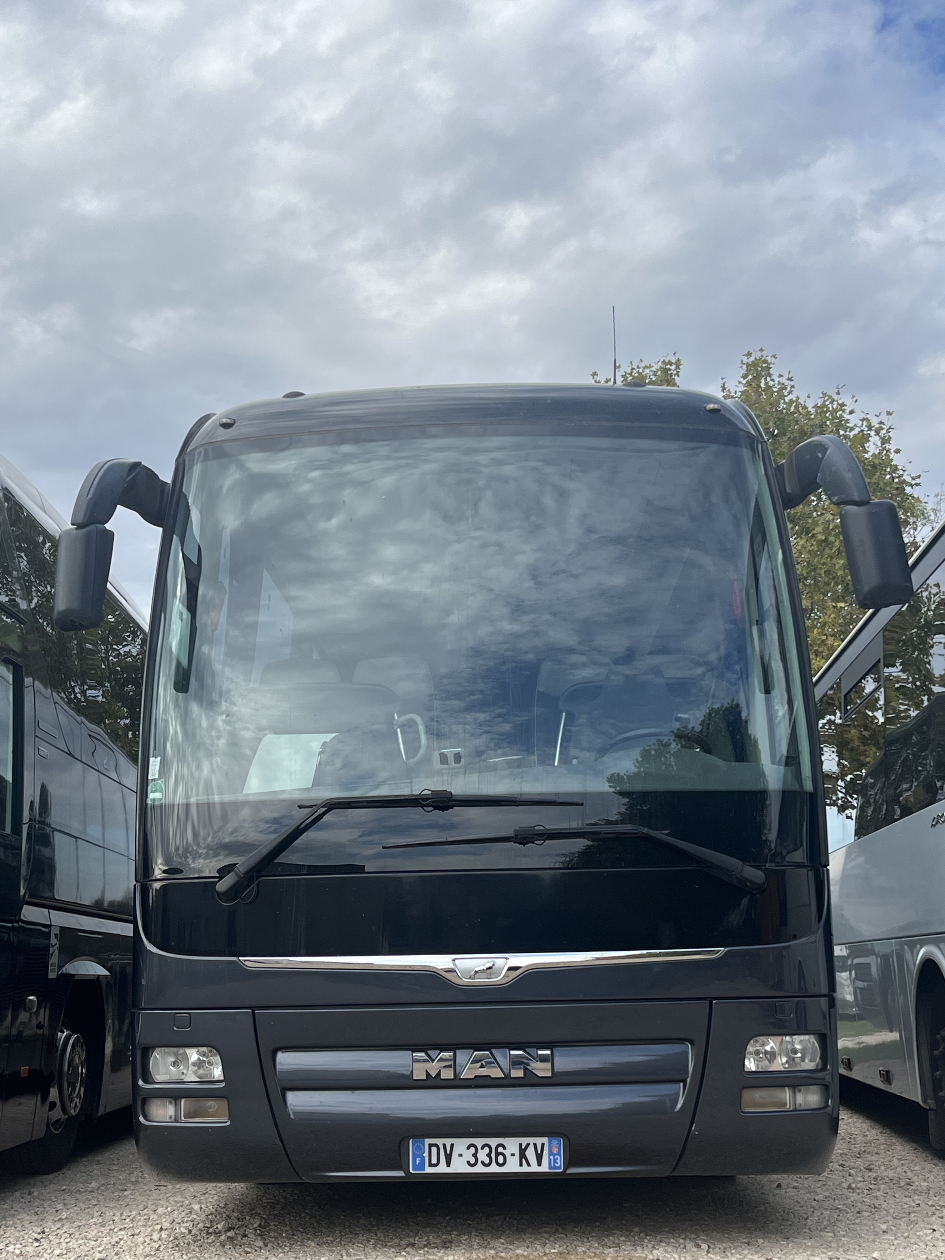 Man Lion Coach