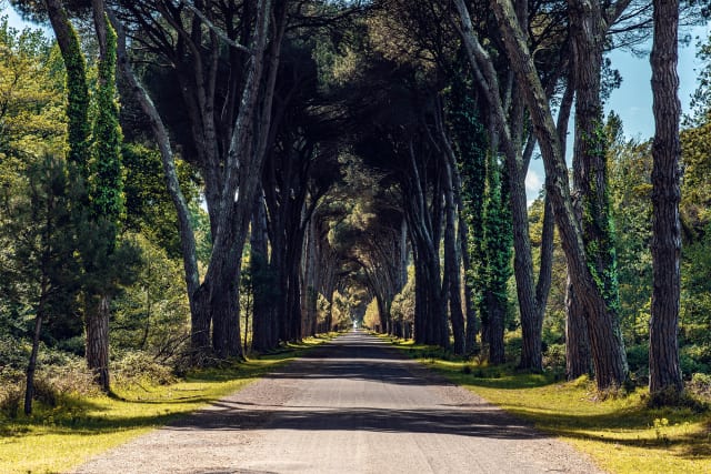 Obrázek 9 v galerii CESTOVÁNÍ