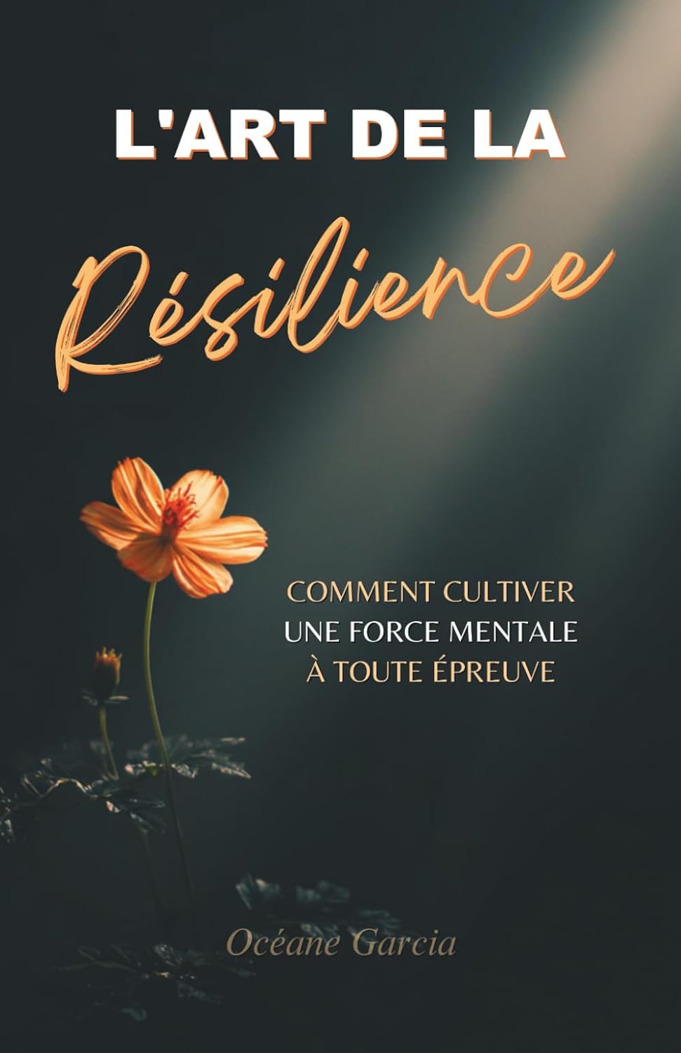 Vue 6 de Lecons De Danse Lecons