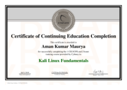 Kali Linux Fundamentals - course