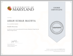 Usable Security Certificate