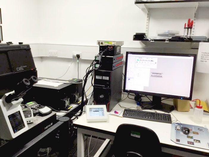 Olympus FV1200 Laser Scanning Microscope