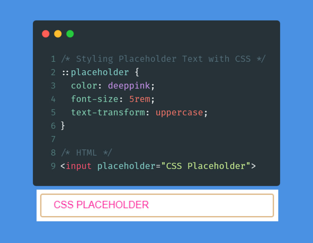 Input type text placeholder