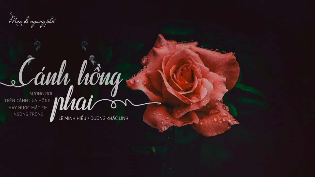 Cảm âm Cánh Hồng Phai