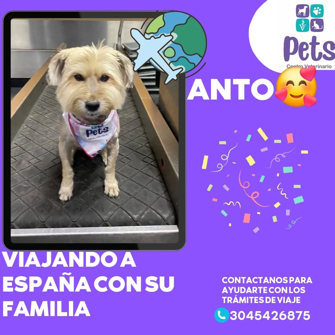 Cliente feliz con su mascota