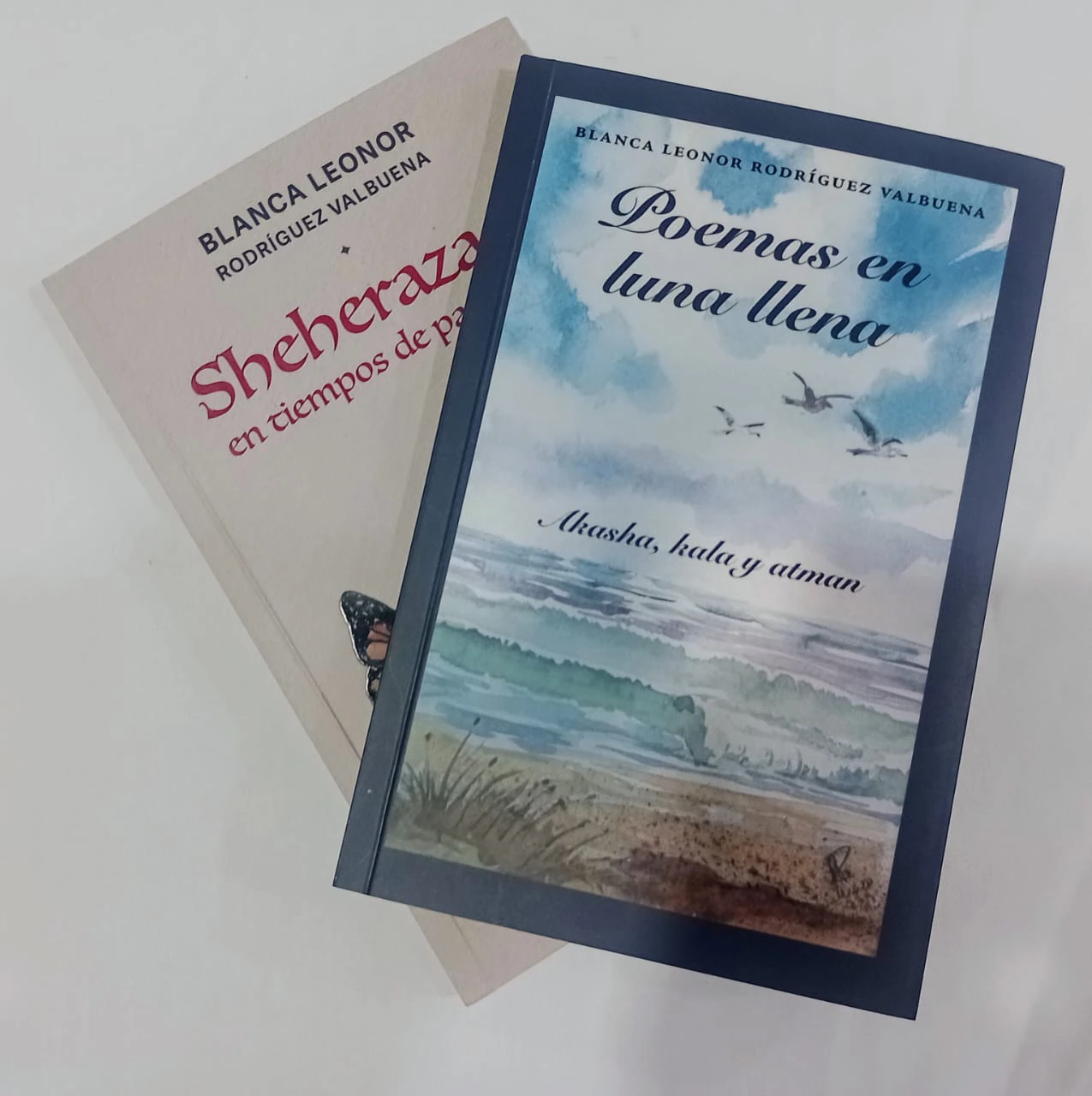 Libros de Blanca Leonor Rodríguez