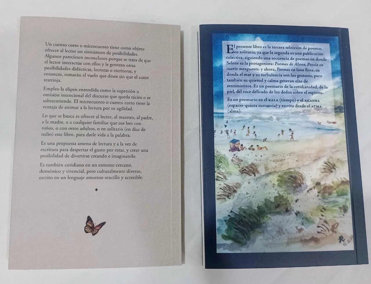 Contraportadas de los libros