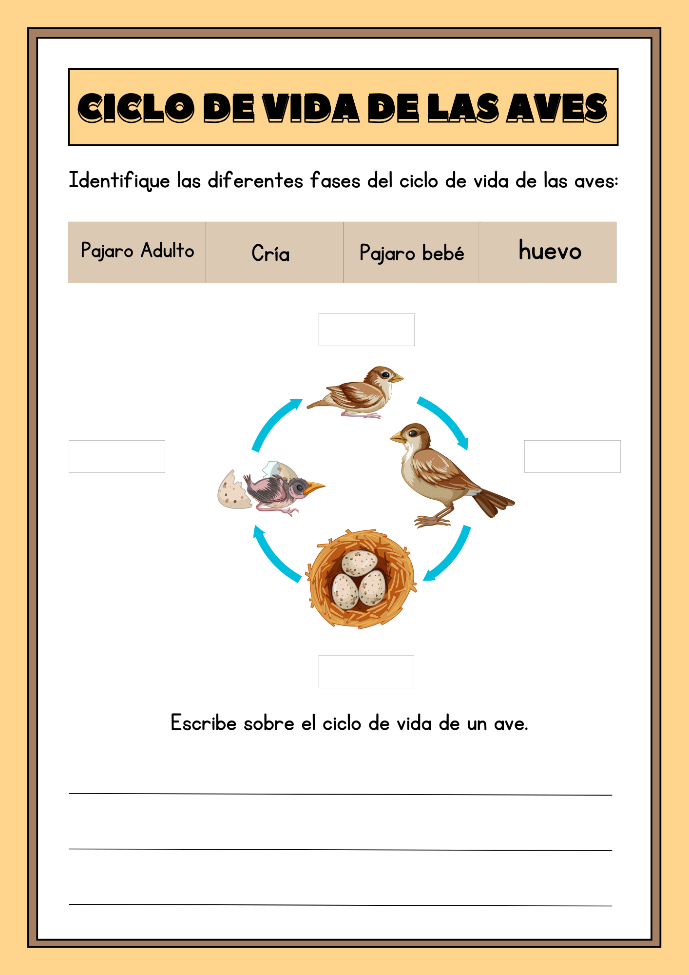 Vista previa de bonos incluidos en el Kit Premium