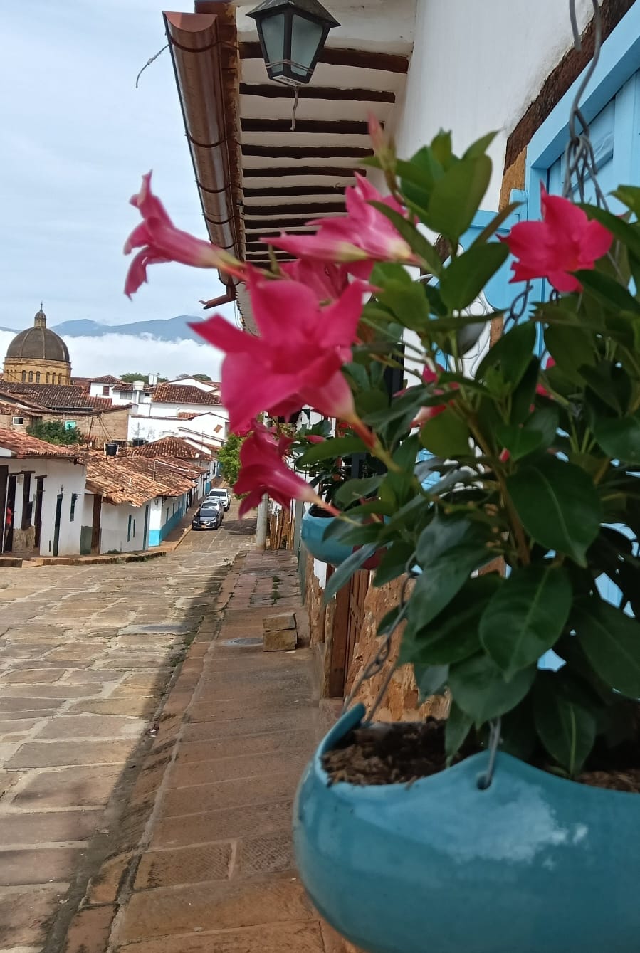 Flores con iglesia de Barichara al fondo